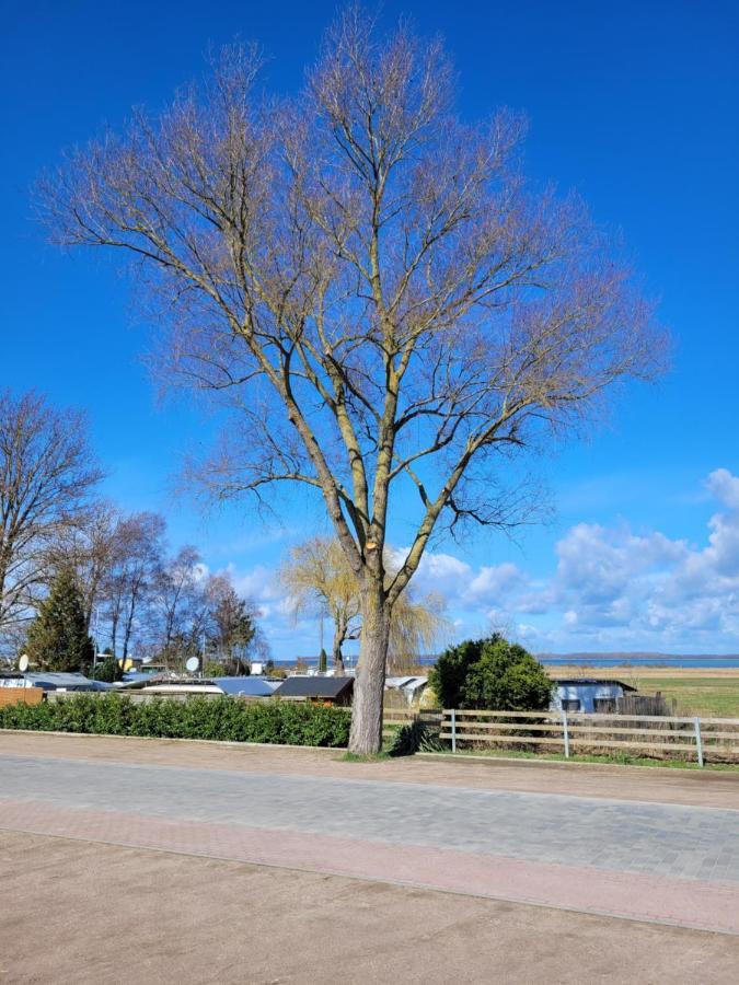 Ostseecamping Am Salzhaff Campsite *