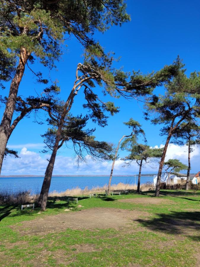 Ostseecamping Am Salzhaff Campsite Pepelow